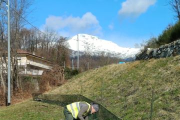 Avviso installazione reti salvanfibi